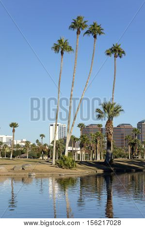 Phoenix downtown as seen across the lake in Encanto Park Arizona; Copyspace