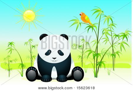 Panda