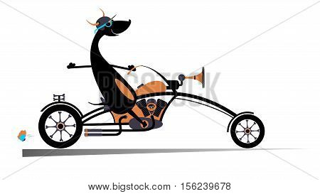 Cartoon biker dog. Biker, motorcycle, dog, illustration