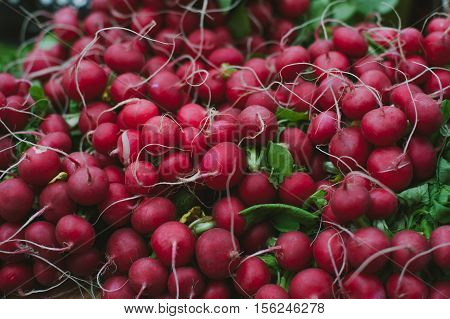 background of farm fresh radishes on the market