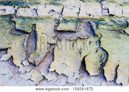 ground dirty cracks dirt structure earth abstract background