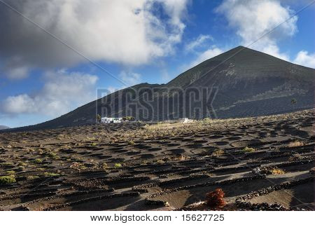 Zocos บนเกาะอต