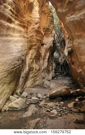Gorge Avakas Cyprus. Rocks and high walls.