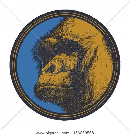 Gorilla Head Logo Mascot Emblem. Vector illustration.