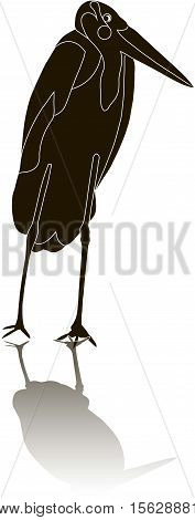 Black silhouette of a Marabou stork with shadow on white, vector illustration