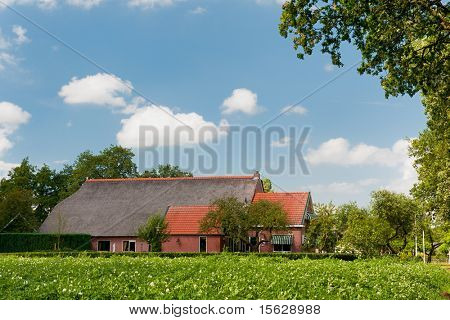 Bauernhaus in Landschaft mit Kartoffeln Landwirtschaft Felder
