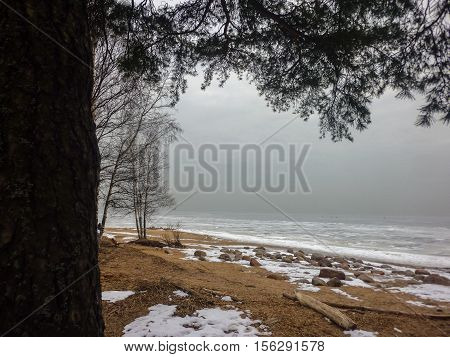 a foggy coast of the frozen winter sea. Finnland bay