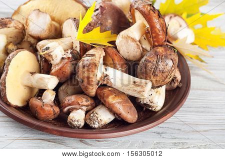 Edible wild mushrooms and leaves in a clay plate on a wooden table. Autumn background with mushrooms.