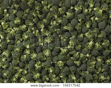 closeup of green vegetables: cut broccoli. Broccoli texture closeup for any ideas. Fresh vegetables concept.
