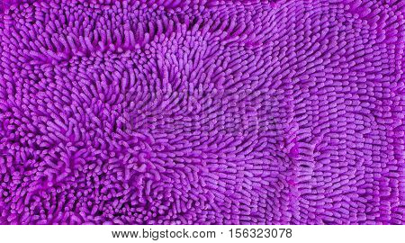 texture of purple mat close up look soft
