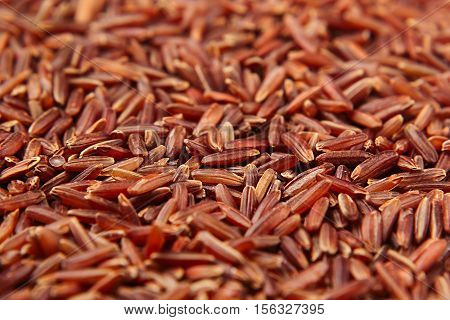 Red rice close-up background. Heap wild brown unpolished rice for vegetarians.