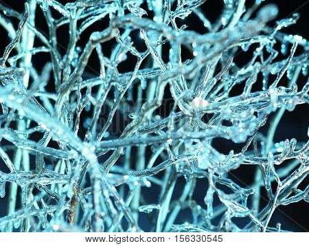 frosen icicles on tree branches night sceen close up picture