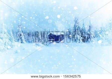 Lonely house in winter forest  very nice