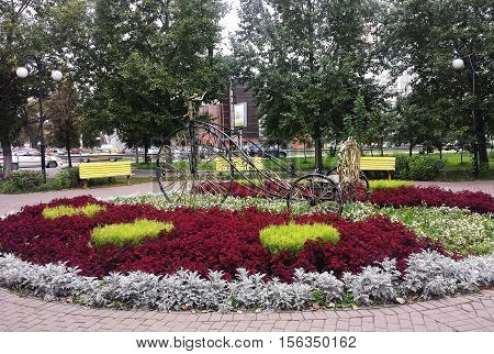 flowerbed with flowers and decorative bicycle in the city