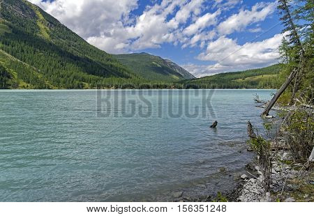 Kucherla lake. Altai Mountains Russia. Sunny summer day.