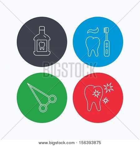 Mouthwash, healthy teeth and peans forceps icons. Brushing teeth linear sign. Linear icons on colored buttons. Flat web symbols. Vector