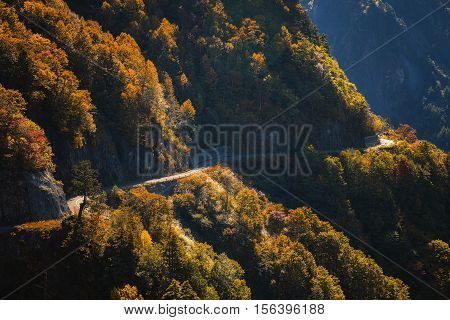 Autumn mountain in Toyoma, Hakusan Shirakawa-go White Road in the last of October.