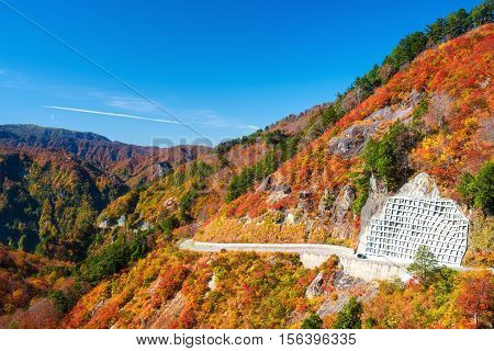 Autumn mountain in Toyoma, Hakusan Shirakawa-go White Road in the last of October.