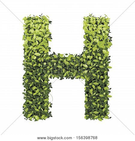 Letter H.  Alphabet of green leaves collection. Decorative symbols isolated on white background.