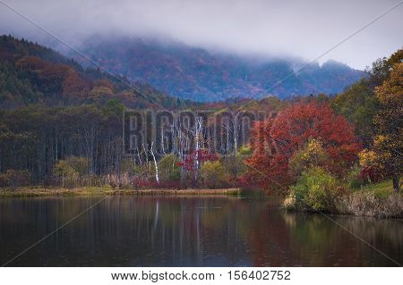 Amazing autumn lake scenery of Kagami Ike (Mirror Pond) in morning rainy day. Togakushi Mountain in background in Nagano, Japan.