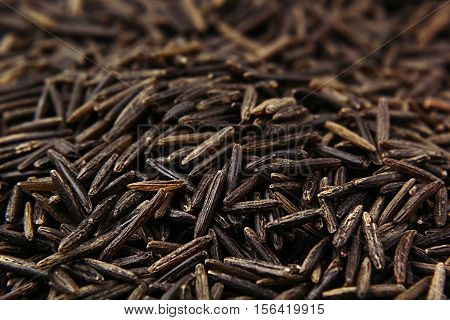 Black rice close-up background. Heap wild brown unpolished rice for vegetarians.