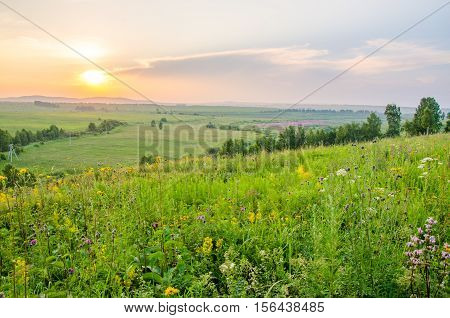 thick morning fog in the summer forest. thick morning fog in the forest at pond. Morning landscape in summer thick fog. dense fog in the morning.  early morning. forest hiding in the fog.