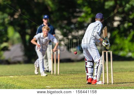 Cricket Action Schools