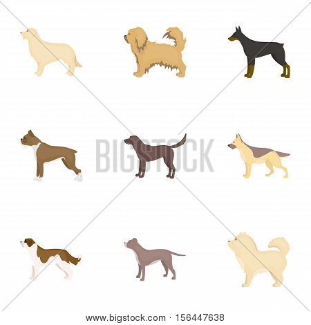 Dog breeds set icons in cartoon style. Big collection of dog breeds vector symbol stock