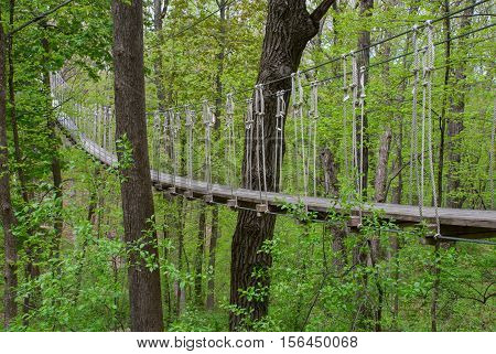 Suspension bridge through the trees in summer forest