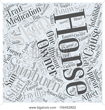 Horses and Sunburn word cloud background concept