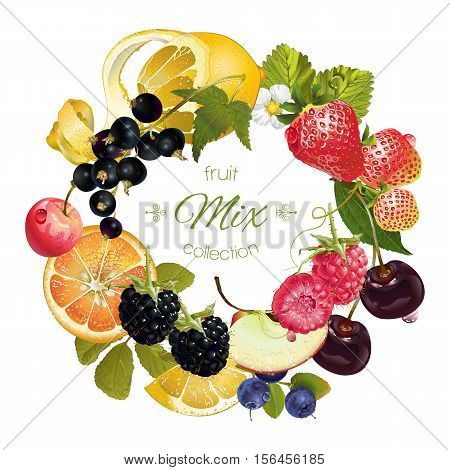 Vector fruit and berry wreath. Design for juice tea ice cream jam natural cosmetics sweets and pastries filled with fruit dessert menu health care products. With place for text