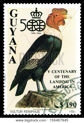 STAVROPOL RUSSIA - November 12 2016: A stamp printed by Guiana shows bird Vultur Feriphus Discovery of America 500th Anniversary circa 1991