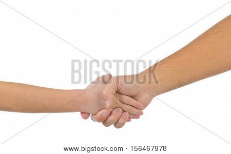 Small child's hand in the large palm of her futher isolated on white