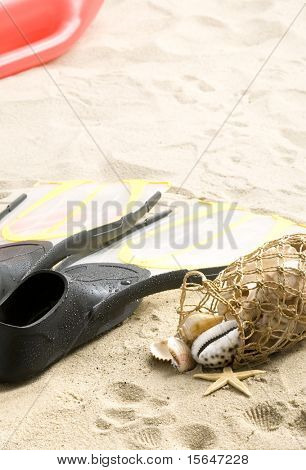 Flossen und Muscheln am Strand
