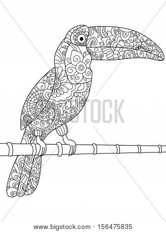 Toucan animal coloring book for adults vector illustration. Anti-stress coloring for adult. Zentangle style. Black and white lines. Lace pattern