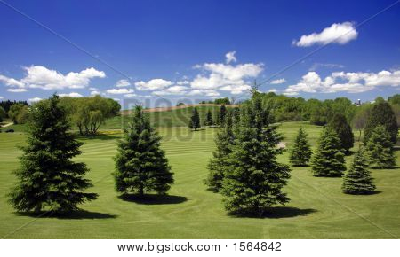 อันตรายของสนามกอล์ฟ