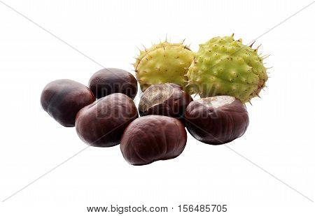 fruit chestnut on a white background .