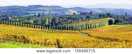 Traditional scenery of Tuscany .beautiful Chianti - vine region , Italy