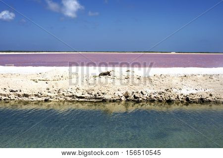 Pink salt lake used for salt production.