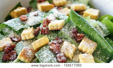 Caesar Salad, Organic Green Vegetable With Parmesan Cheese And Crutons