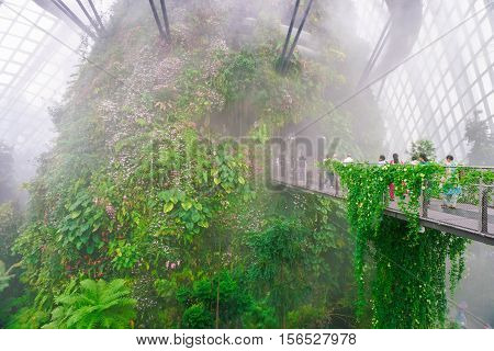Myst in Cloud Forest conservative, Gardens by the Bay at Singapore