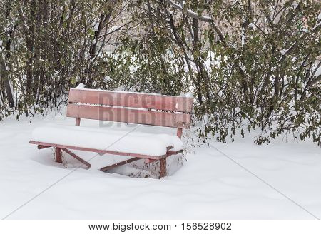 old bench with faded colors in snow