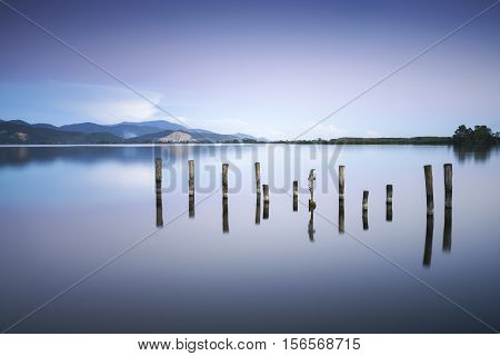 Wooden pier or jetty remains on blue lake sunset and sky reflection water. Long exposure Versilia Massaciuccoli Tuscany Italy.