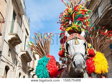 Closeup view of a horse head of a sicilian cart and its ornamental harness during a folk festival