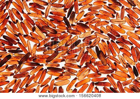 Red rice close-up on white background. Pattern wild brown unpolished rice for vegetarians.