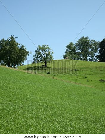 naturen i schweiziske