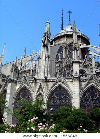 Notre Dame uit de achterkant