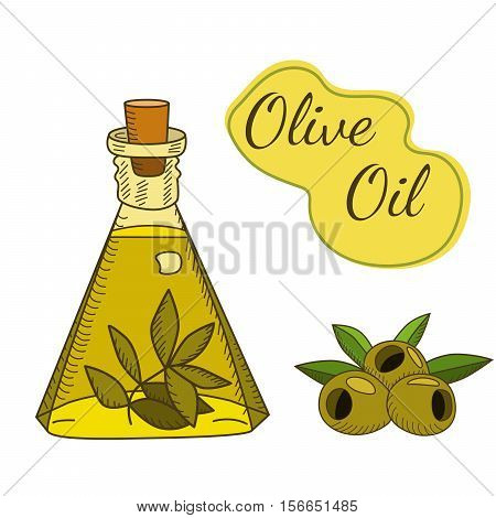 Olive oil in the bottle with a branch and berries. Sketch style. Hand drawn vector EPS10  illustration.