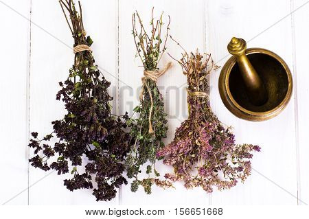 Dried Flowers and Stems of Thyme Studio Photo