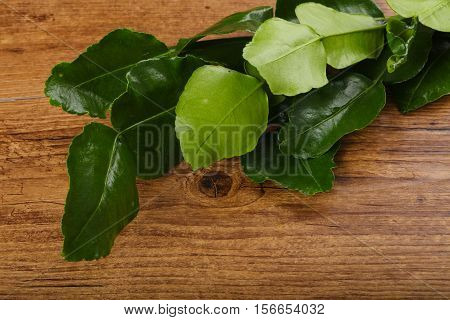Kafir Lime Leaves